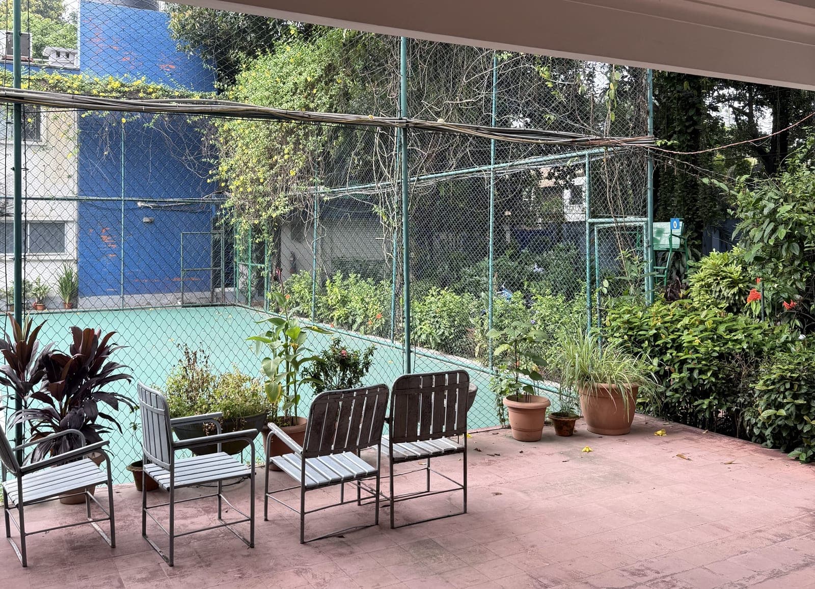 The shaded terrace beside the courts at the Dutch Club